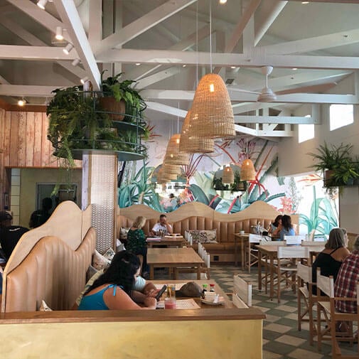 Co-Curate interior with stylish seating and botanical decor, a vibrant space for socialising and dining.